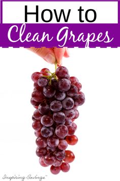 a bunch of grapes with the words how to clean grapes on top and below it