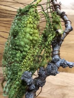 a close up of a tree branch with moss growing on it