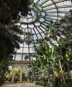 the inside of a tropical greenhouse with palm trees