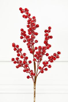 a vase with red flowers in it sitting on a table next to a white wall