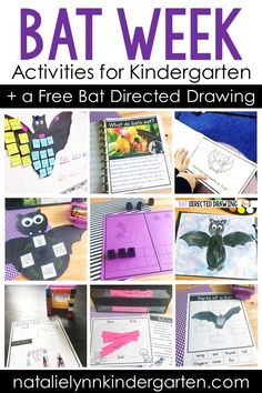 bat week activities for kids to do with the kids at home and in the classroom