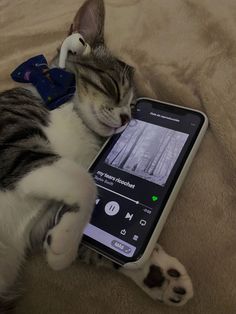 a cat laying on top of a bed next to a cell phone with an app on it