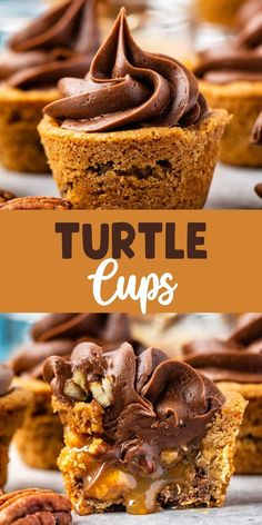 chocolate chippy turtle cupcakes with text overlay that reads,'turtle cups '