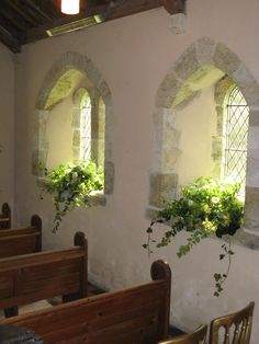 two arched windows with plants growing in them and on either side of the window are wooden pews