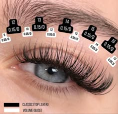 Eyelash Mapping, Eyelash Studio