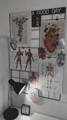 a white desk topped with lots of medical diagrams and pictures on it's wall