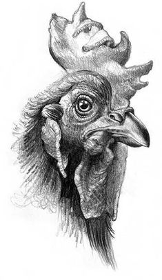 a pencil drawing of a rooster's head with an antelope on it