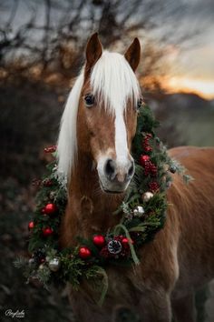 a brown horse wearing a christmas wreath around its neck with red berries and greenery