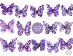 watercolor butterflies with purple flowers on them