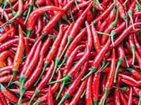 many red peppers are piled up together