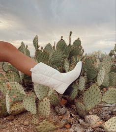 a woman's foot in white shoes standing on top of a cactus field next to cacti