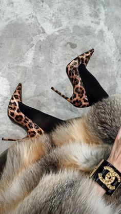 Cheetah Print Outfits, Slavic Girl, Cheetah Shoes, Thigh High Stockings And Tights, Leopard High Heels, Cheetah Print Heels, Feminine Energy Aesthetic, Fall Background, Leopard Shoes