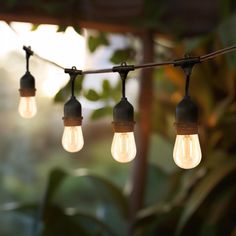 several light bulbs are hanging from a wire with leaves in the background and sunlight shining through them