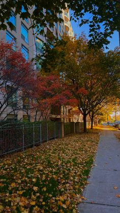 the sidewalk is lined with leaves and trees in front of a tall building on a fall day