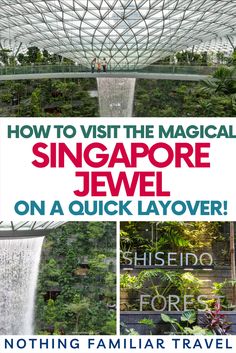 Singapore Airport Jewel Singapore, Airport Layover, Singapore Airport, Singapore Things To Do, Singapore Attractions, History Of Singapore, Singapore Hotels, Changi Airport