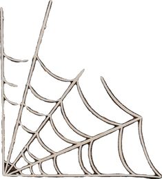 a spider web on a white background