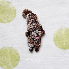 a small brown dog laying on top of a white sheet with green polka dotes