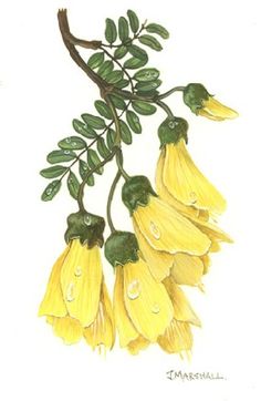 a drawing of yellow flowers with green leaves