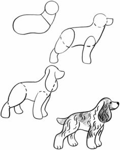 four different dogs are shown in black and white