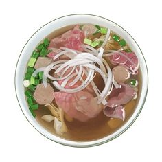 a bowl of soup with meat, noodles and green onions in it on a beige background