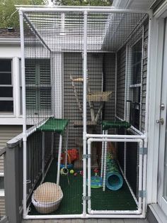 a large white caged in animal house with two cats and one dog on the other side