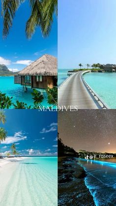 four different pictures with palm trees, water and sky in the same photo each one has an image of a tropical island