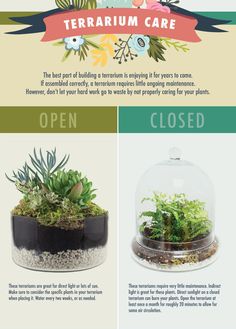 three different types of terrariums in glass domes with flowers and plants inside them