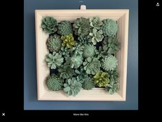 a wooden frame with succulents in it on the wall next to a blue wall