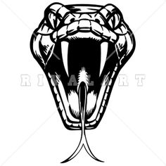 a black and white image of a snake's head with its mouth open, showing teeth