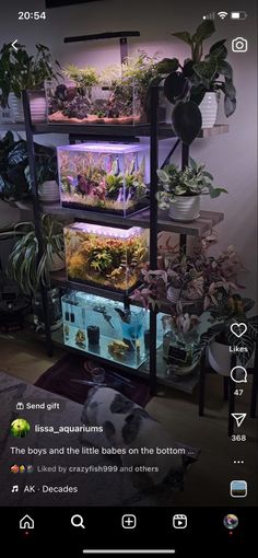 an aquarium with plants in it is shown on the phone screen, and there are also other things to see