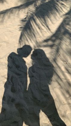 the shadow of two people standing next to each other in front of a palm tree