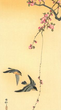 two birds are flying in the air near a branch with pink flowers and green leaves