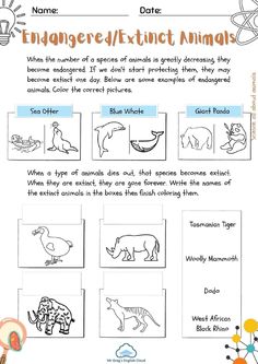 an animal worksheet with pictures and words