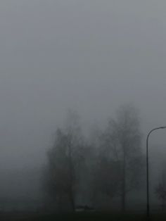 a stop sign on a foggy day with trees in the background and street lights