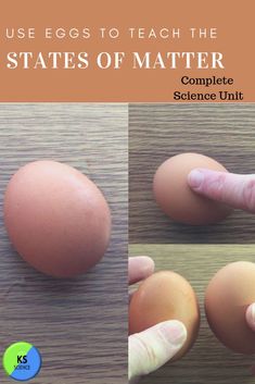 an egg is shown with the words, use eggs to teach the states of matter complete science unit