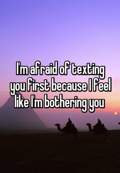 two camels with the words i'm afraid of texting you first because i feel