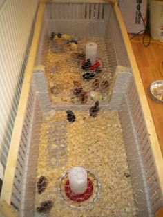 an animal cage filled with food on top of a wooden floor