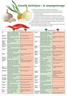 the poster shows different types of vegetables and their names in french, with an image of garlic