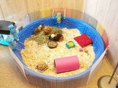 a hamster cage filled with hay and small animals