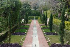 a long walkway lined with trees and bushes