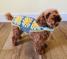 a brown dog wearing a blue and yellow crochet sweater on top of a wooden floor