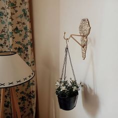 a potted plant hanging from a hook on the wall next to a floor lamp