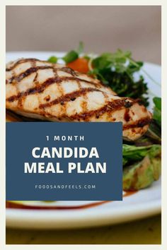 This candida diet meal plan helps you reduce yeast overgrowth in your gut. The meals are low in sugar, certain carbohydrates and other foods that can feed yeast in your body. People who have history of heavy antibiotic use or high sugar diet may benefit from this meal plan.  The meal plan comes with recommendations for all breakfast, lunch, supper and snack meals. It includes four 7 day meal plans complete with recipes, grocery lists, and nutritional information. #sugarfree #healthymealplan Candida Diet Meal Plan, Dill Salad Dressing Recipe, Dill Salad Dressing, Snack Meals, 1200 Calorie Diet Meal Plans, Yeast Overgrowth