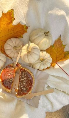 a piece of pie sitting on top of a white towel next to some pumpkins