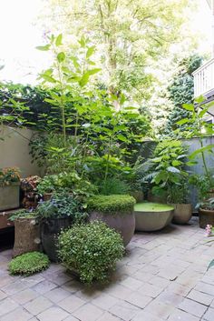 an outdoor patio with potted plants and trees