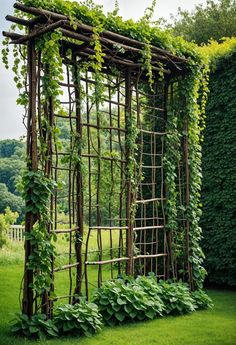 an outdoor trellis with vines growing on it's sides and green grass in the foreground