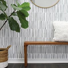 a wooden bench sitting next to a wall with a plant on it and a mirror