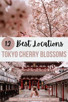 the cherry blossom trees are blooming in tokyo, japan with text overlay that reads 19 best locations to see cherry blossoms