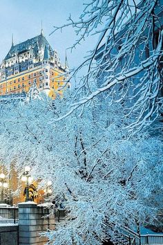 the castle is surrounded by snow covered trees