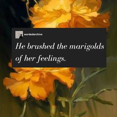 a yellow flower with a quote on it that says he brushes the margolds of her feelings